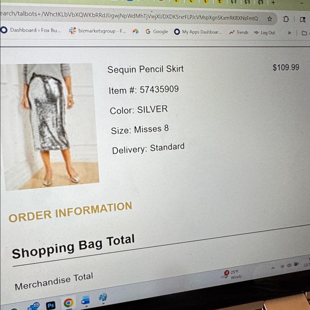 Talbots Shimmering Silver Pencil Skirt